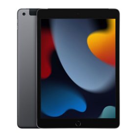 Apple iPad 10.2" Wi-Fi + Cellular, 256 GB - 9th Generation 2021 Model, Choose Color