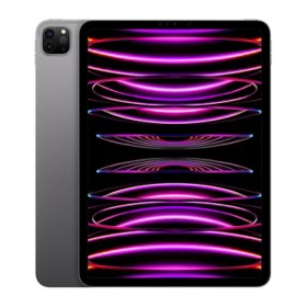 【付属品完備/訳あり】iPad Pro 10.5 256GB