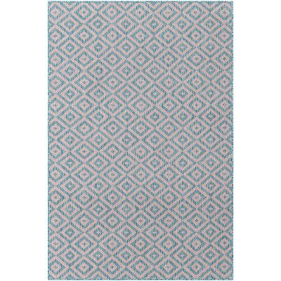Jill Zarin Costa Rica Outdoor Rug:- Pink/Aqua, 4' x 6'