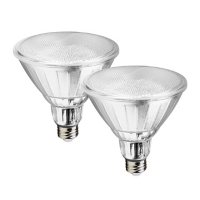 Geeni Smart Indoor/Outdoor LUX Flood Light Bulb (2 Pack)