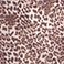 Brown  , variant on Steve Madden Pajama Set