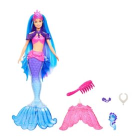 Mermaid Barbie "Malibu" Doll with Pet & Accessories
