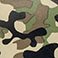 Camo - Online Only, variant on Member's Mark Toddler Boys Clog
