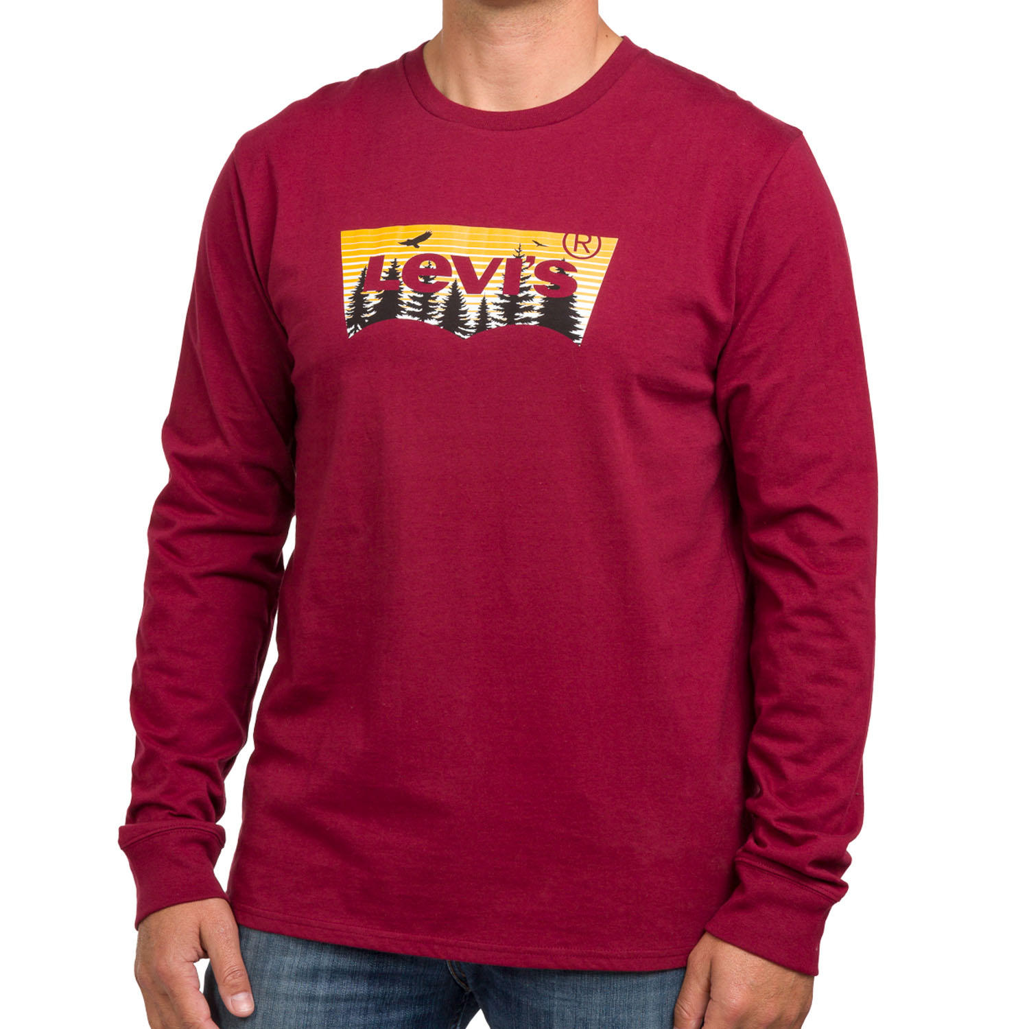 Men’s Levi’s Long Sleeve Graphic Tees for $4.81