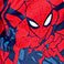 Spiderman, variant on Character Boys 3-Piece Robe and Pajama Set