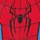 Spiderman, variant on Character Boys 3-Piece Robe and Pajama Set