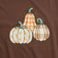 Brown, variant on State of Mine Women's Harvest T-Shirt