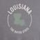Grey , variant on State of Mine Men's State Graphic T-Shirt