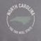 Grey, variant on State of Mine Men's State Graphic T-Shirt