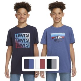 Levi's Boys' 2 Pack Graphic Snow Jersey Tees