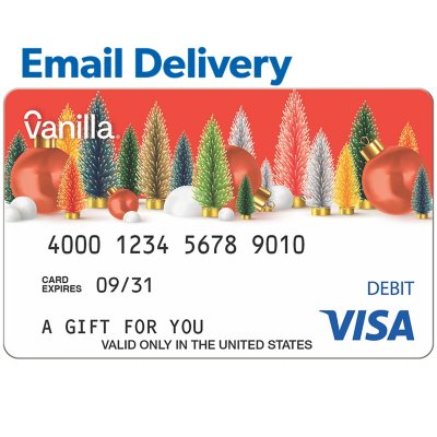 $500 Visa Gift Card Email Delivery Shop Authentic | www ...