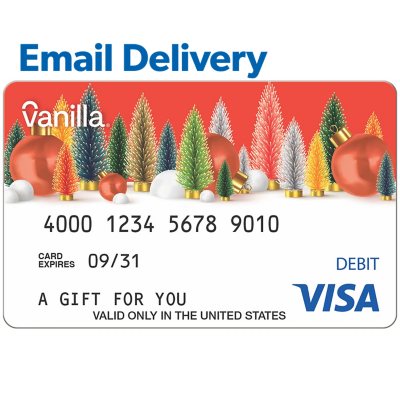 Buy a Visa Gift Card Online, Email Delivery