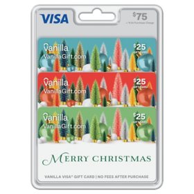  Visa $75 Holiday Gift Cards, 3 x $25 