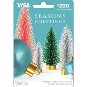  Visa $200 Holiday Gift Card