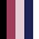 Fashion Pack, variant on Warners Women’s 5-Pack No Pinching, No Problems Lace Waistband Hipster