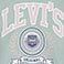 Green, variant on Levi's Kids Collegiate Hoodie