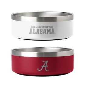 Logo Brands NCAA Stainless Steel Dog Bowl, 2 Pack, Assorted Teams