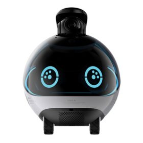 Enabot EBO X Home Robot