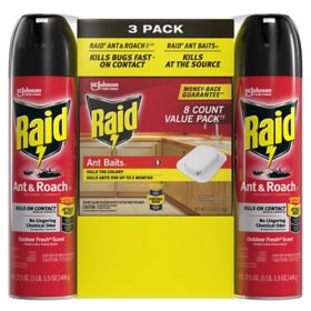 Raid Ant & Roach 17.5 oz Aerosol, 2pk with 8-Count Bait Mixed Pack