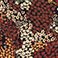 Brown, variant on Frye Women's Maxi Dress