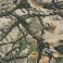 Camo, variant on Coleman Men's Fleece Lined Pant