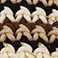 Multi Natural - Online Only, variant on Steve Madden Women's Crochet Sandal