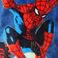 Spiderman, variant on Character Boys Plush Quarter Zip