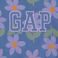 Blue, variant on Gap Kids Girls Toddler Fleece Set