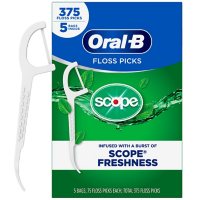 Oral-B Complete Floss Picks, Scope Outlast (375 ct.)