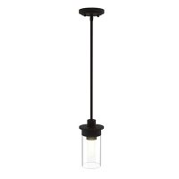 Enbrighten Ember Pendant Lamp with LED Bulb by Ecoscapes