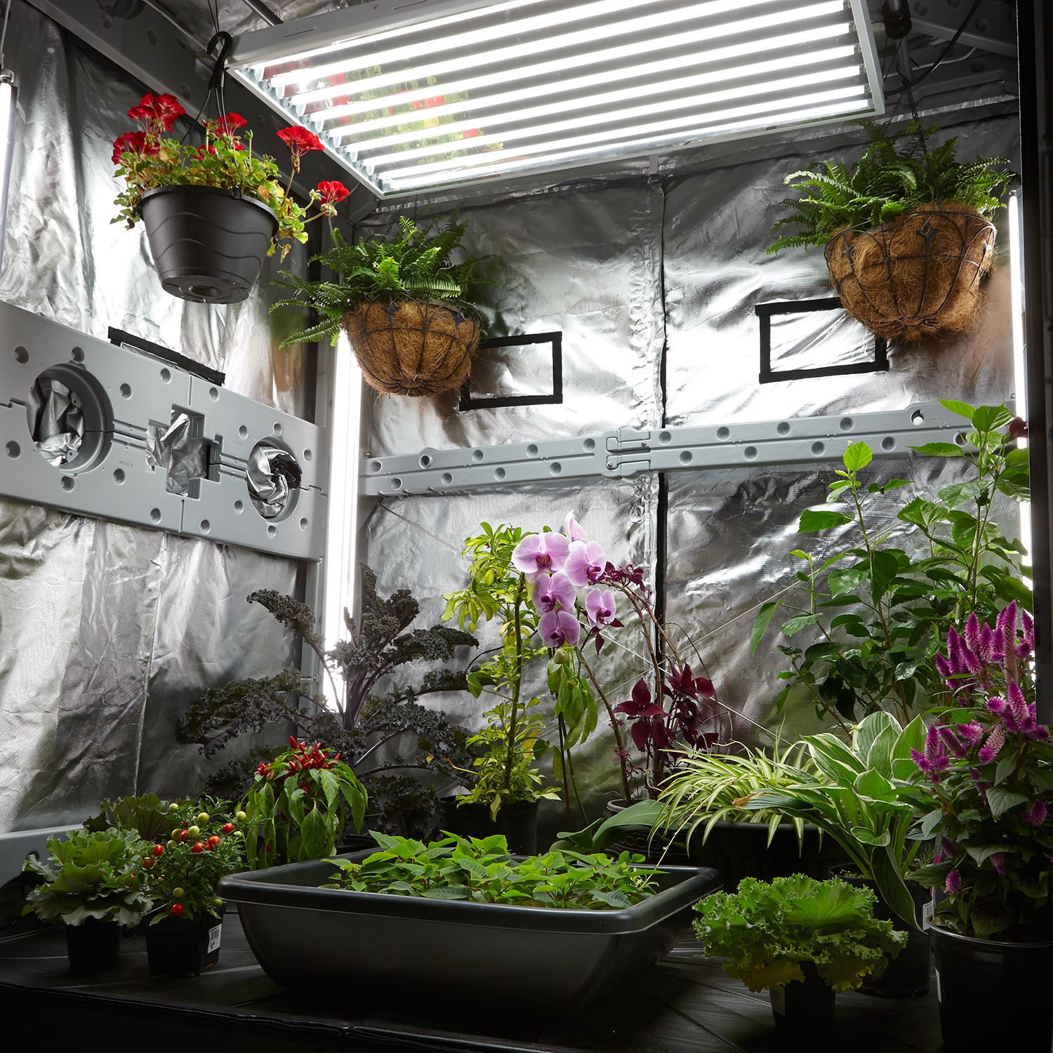 Indoor Greenhouse Grow Light Tent Garden Kit Hydroponic ...