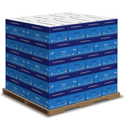 Hammermill Tidal Print Paper, 92 Bright, 20lb, 8.5 x 11, White, 500 Sheets/ Ream, 8 Reams/Carton, HAM162400