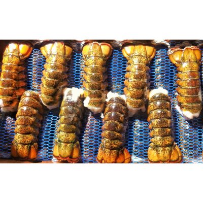 Ready Seafood Frozen Raw Maine Lobster Tails (4-5 oz. ea.,10 lbs.) - Sam's  Club