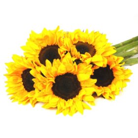 Member's Mark Sunflowers, Yellow, Choose stem count