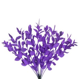 Painted Ruscus, Lavender (Choose 60 or 120 stems)