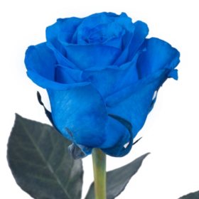 Bulk Roses For Sale Near Me White Red And More Sam S Club Sam S Club