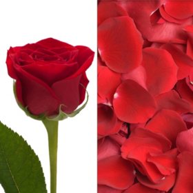 Roses and Petals Combo, Red (75 stems and 2,000 petals)