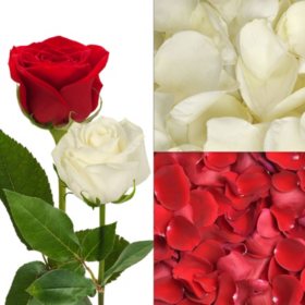 Roses and Petals Combo, Red and White (75 stems and 2,000 petals)