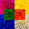 Assortment, variant on Member's Mark Painted Mums, 100 stems, Choose color