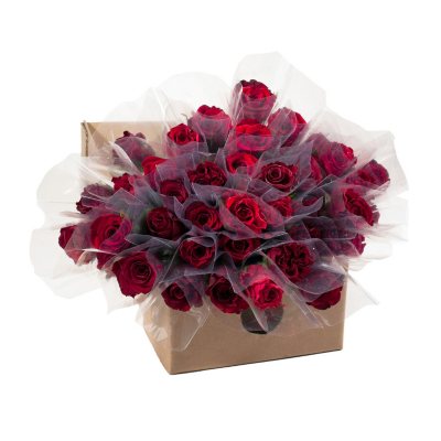 RO50SRED80 SINGLE ROSES Sam's Club
