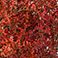 Tinted Orange, variant on Member's Mark Limonium, 15 bunches, Choose color