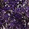 Tinted Purple, variant on Member's Mark Limonium, 15 bunches, Choose color