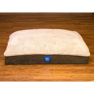 Sams serta shop dog bed