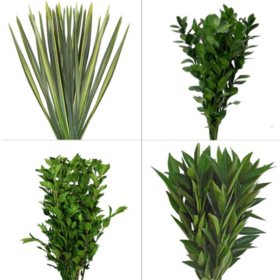 Member's Mark Assorted Greenery (Choose from 150 or 175 stem)