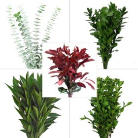 Member's Mark Assorted Greenery (Choose Stem Count)