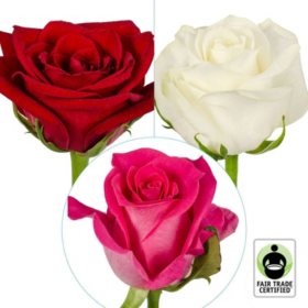 Member's Mark Fair Trade Roses, 75 stems, Choose color variety