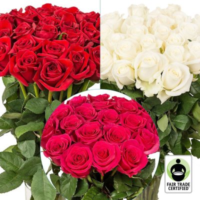 75 Stems of Ivory Roses- Beautiful Fresh Cut Flowers- Express Delivery 