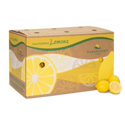 Fruit Lemon Choice 4 Pieces per Bag – California Ranch Market