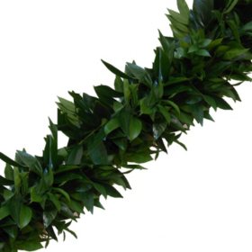 Member's Mark Garland, Cocculus & Italian Ruscus, Choose length