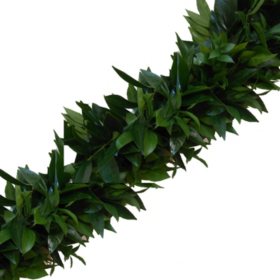 Garland, Cocculus and Italian Ruscus (Choose 10, 25 or 75 ft.)